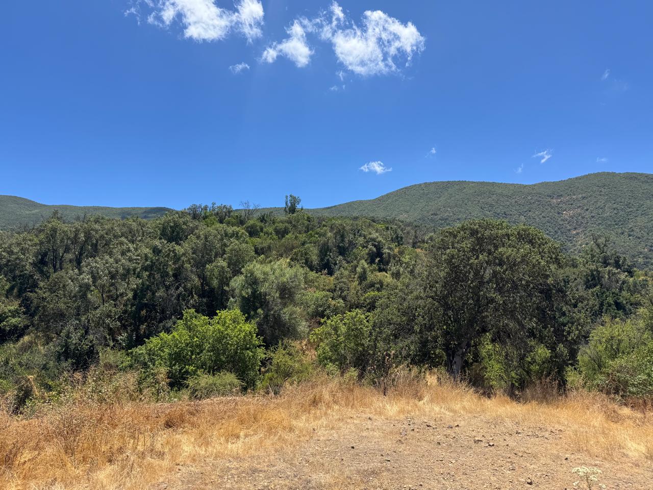 Parcela – Quebrada del Ají, Quillota