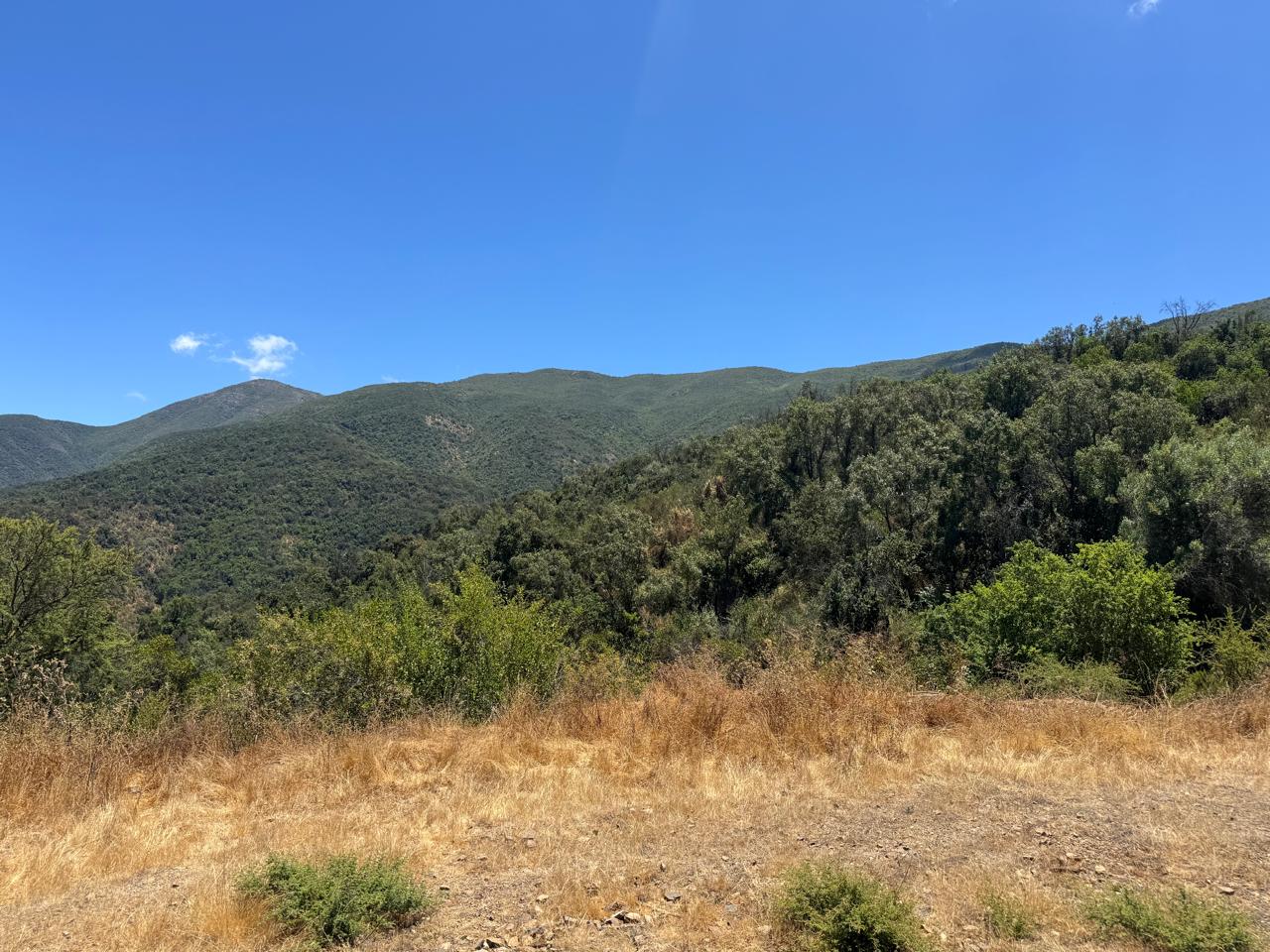 Parcela – Quebrada del Ají, Quillota