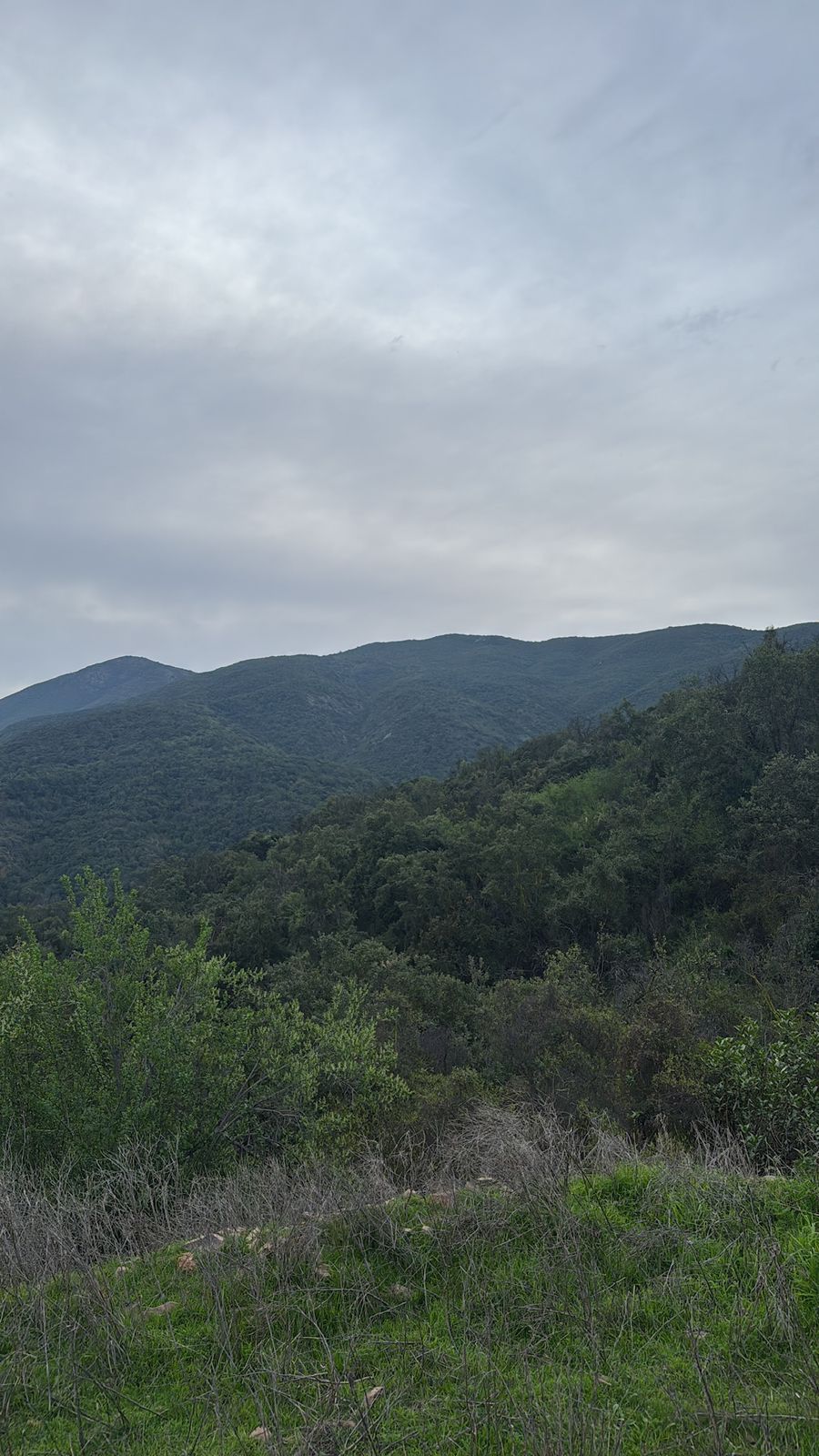 Parcela – Quebrada del Ají, Quillota