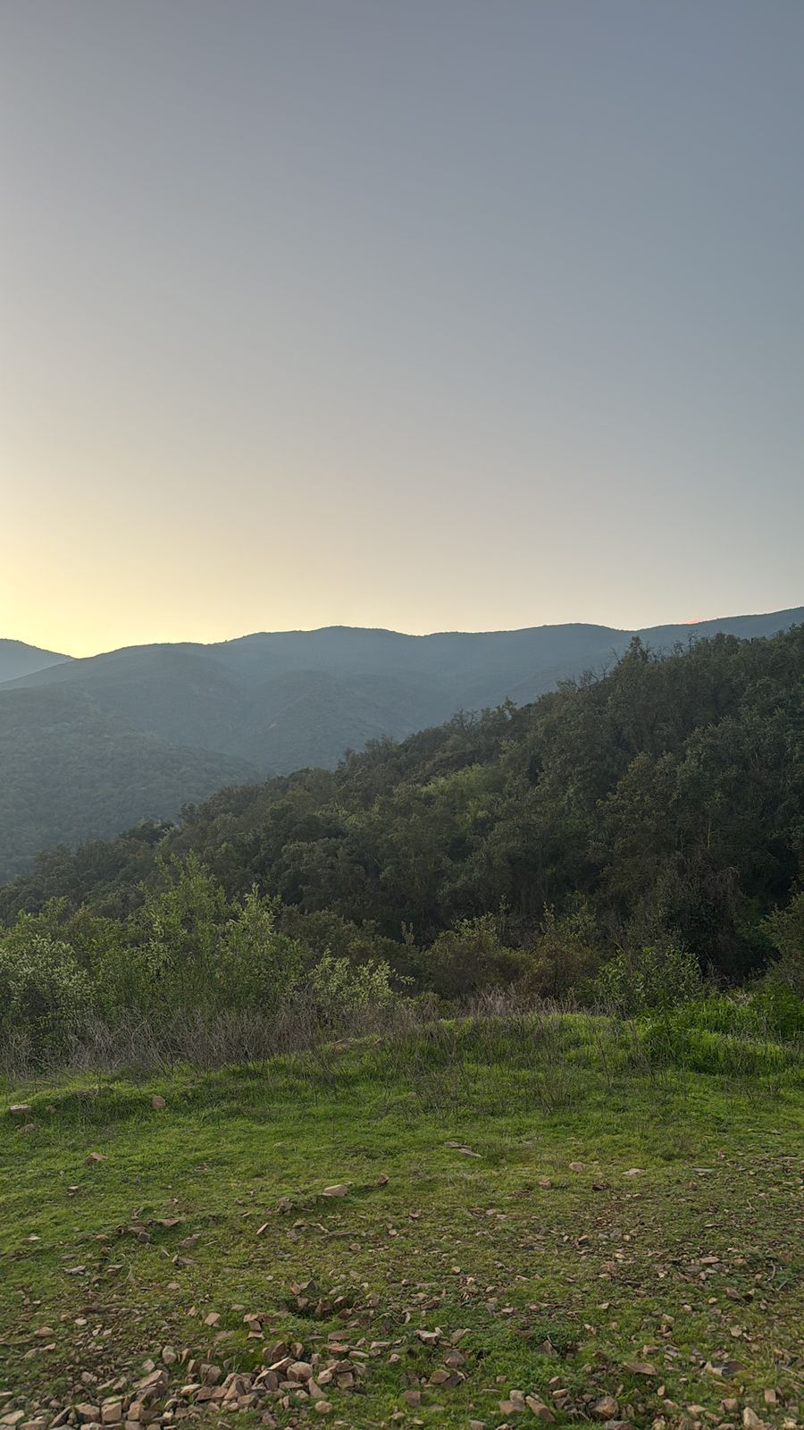 Parcela – Quebrada del Ají, Quillota