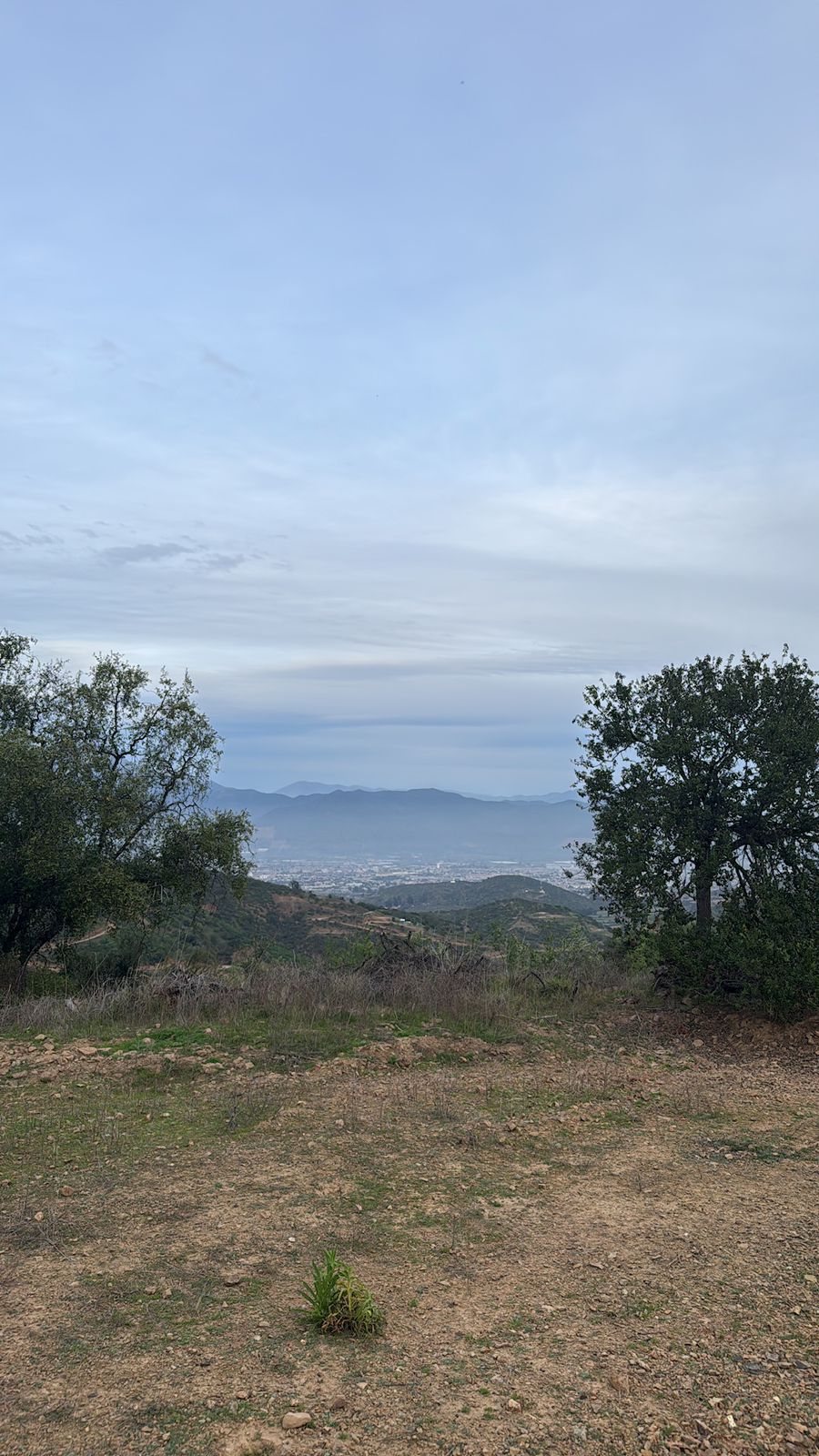 Parcela – Quebrada del Ají, Quillota