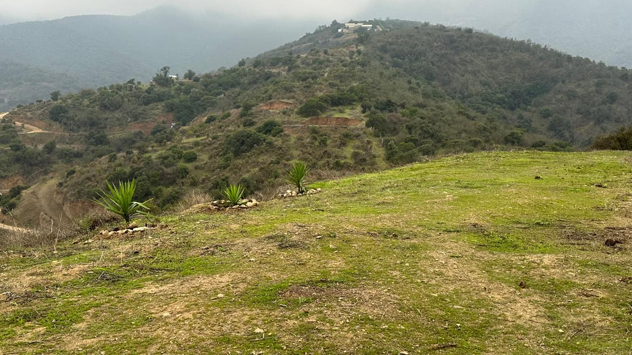 Parcela en Rucalhue – Quebrada del Ají, Quillota