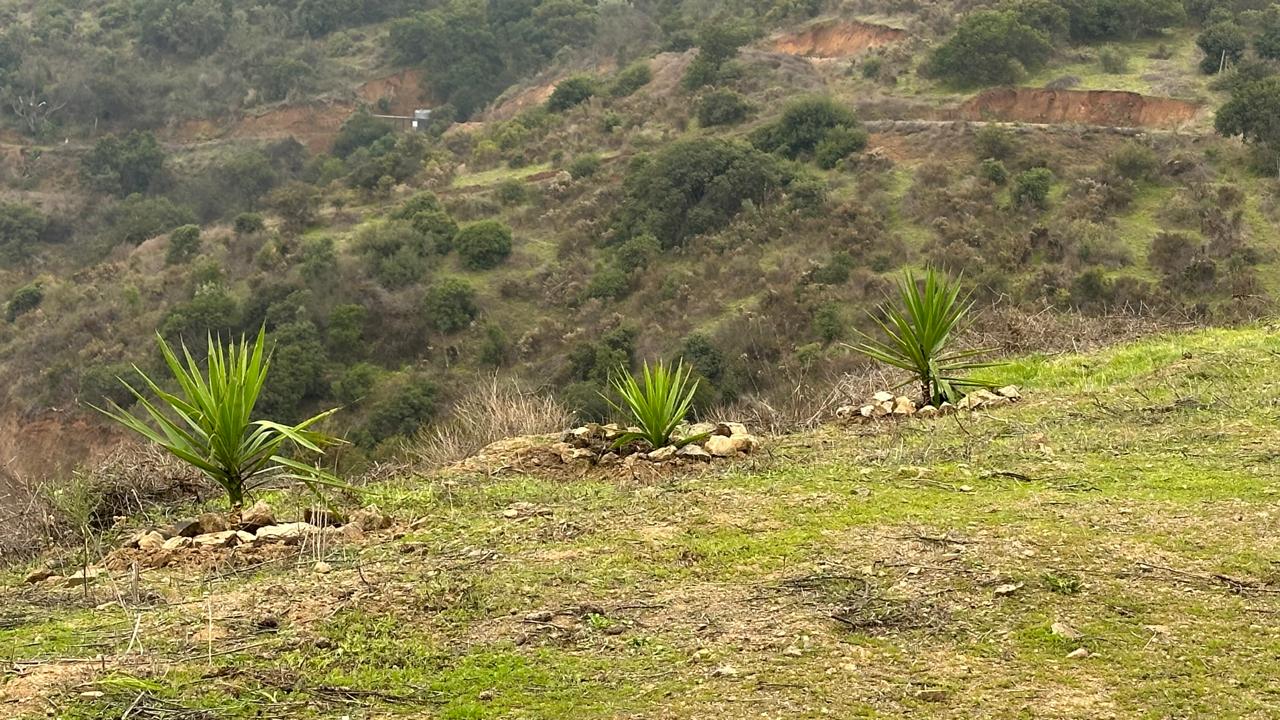 Parcela en Rucalhue – Quebrada del Ají, Quillota